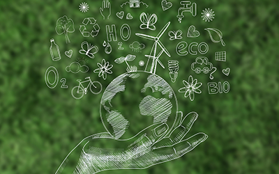 Come migliorare il rapporto impresa-ambiente ed acquisire vantaggio competitivo