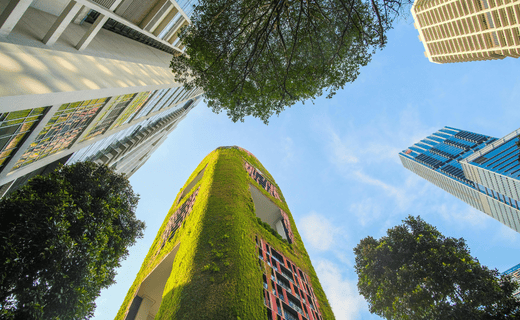 Corso Lead AUditor ISO 14001 immagine che mostra città sostenibile con grattacieli verdi visti dal basso