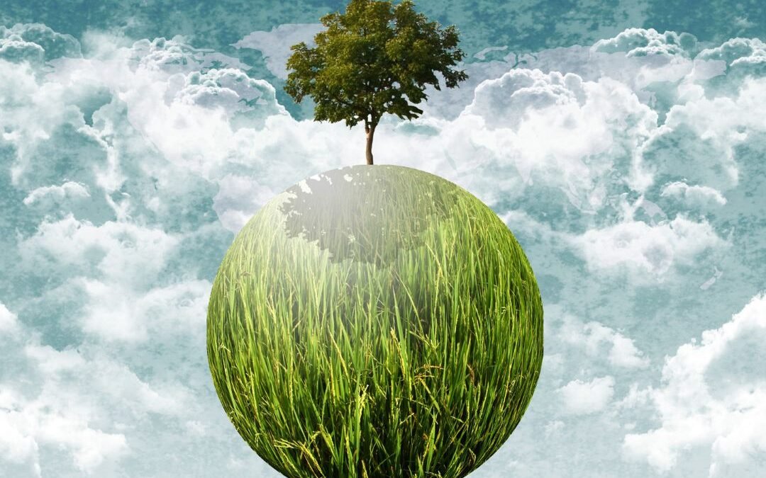 Webinar ISO 14001:2026_Strategie di transizione e Gap Analisi